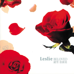 种马大帅哥宇飞艰辛小说免费阅读
